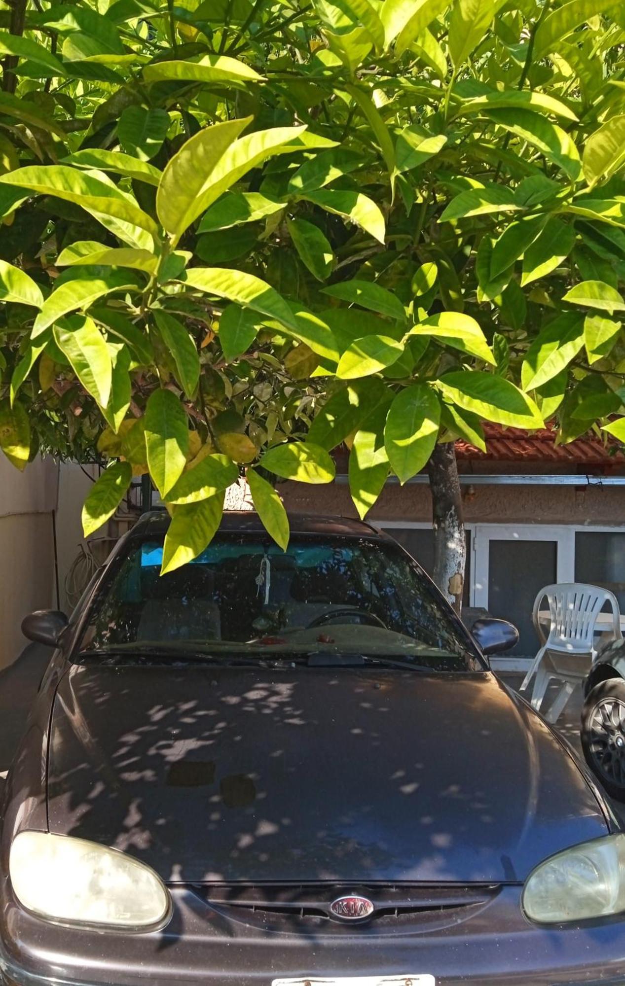 Ferienwohnung Αlexandras House Preveza Exterior foto